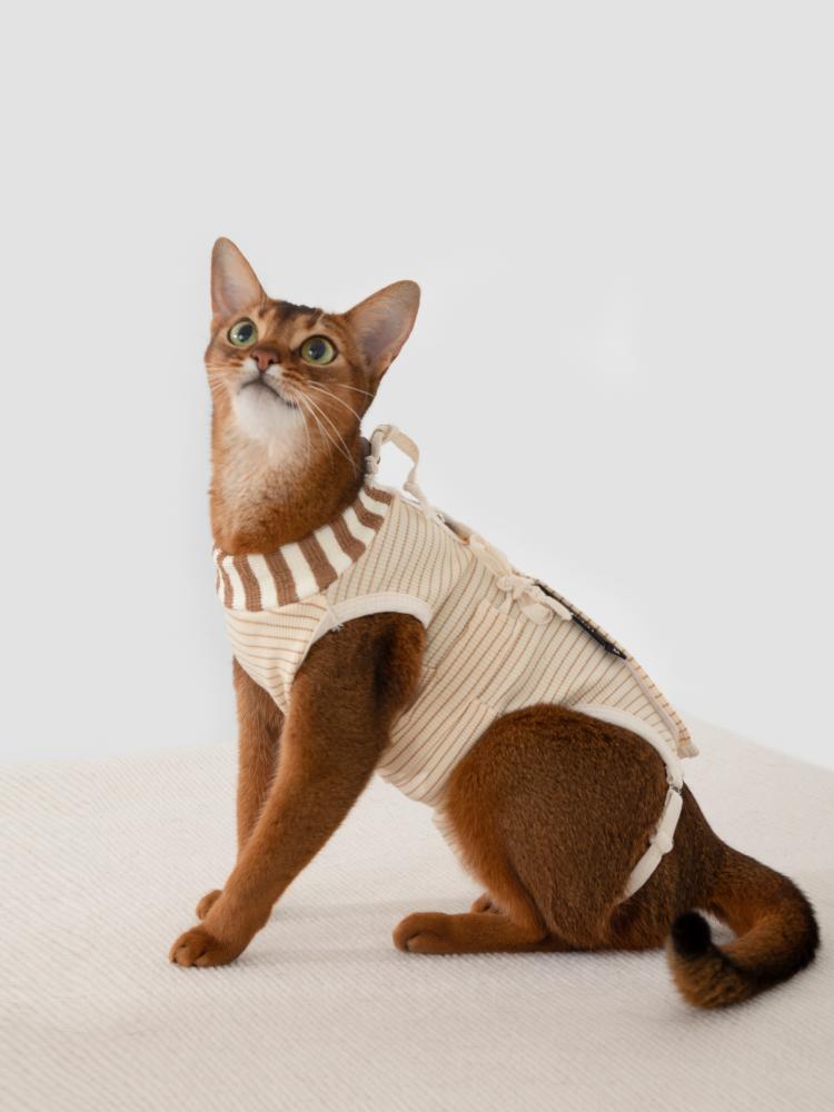 HiDREAM-CAT CLOTHES AFTER STERILIZATION