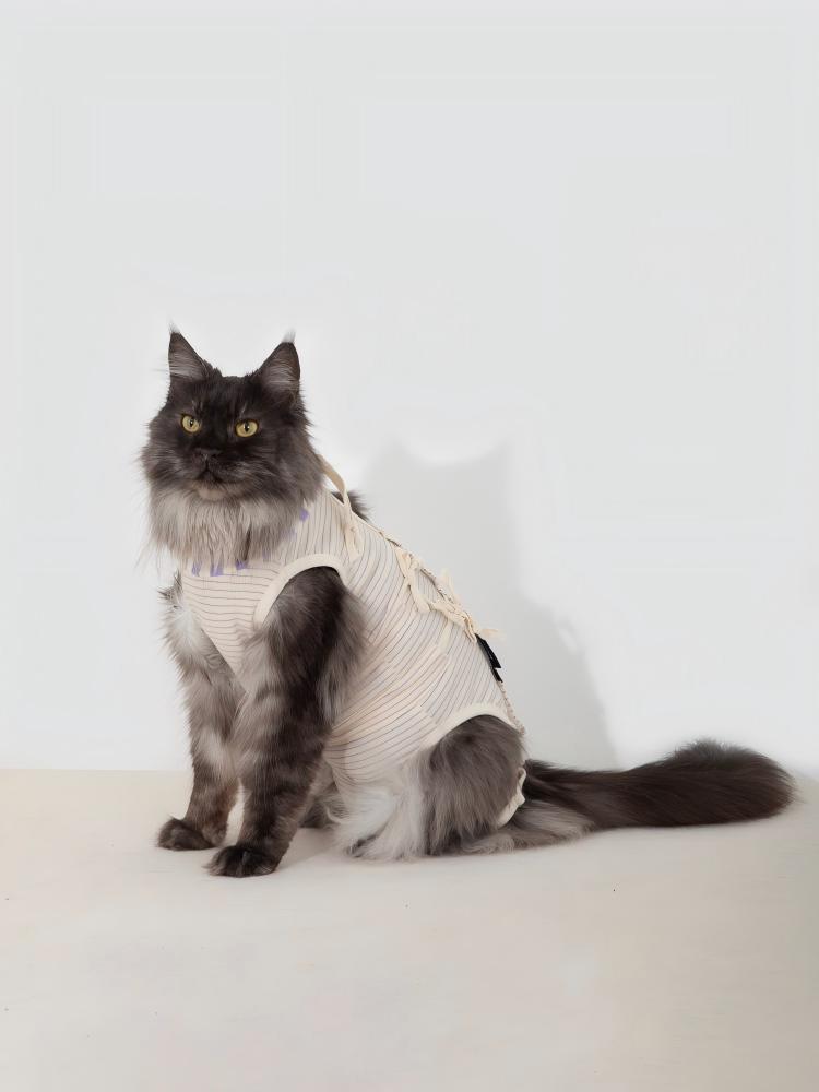 HiDREAM-CAT CLOTHES AFTER STERILIZATION